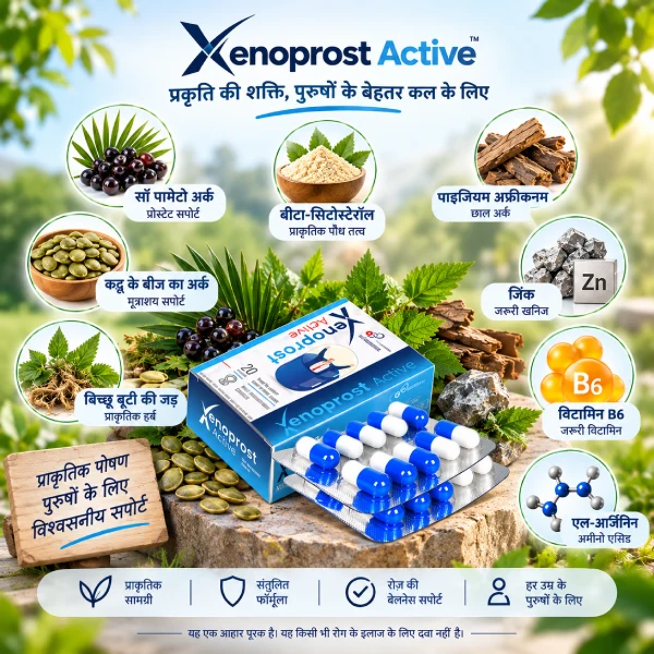 Xenoprost Active ingredients — सॉ पामेटो, जिंक, कद्दू के बीज और बिच्छू बूटी की जड़