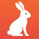 cropped favicon Xenoporst Active